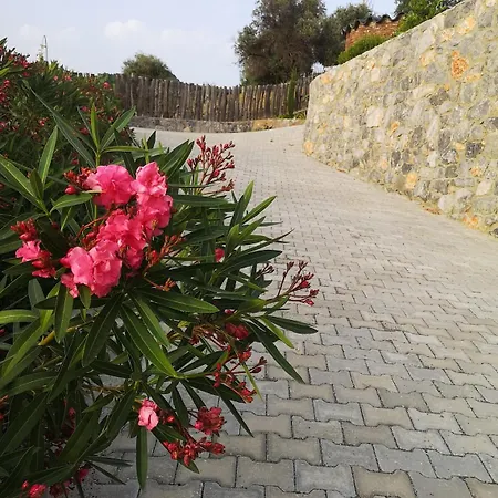 Сasa de vacaciones Teos Retreat Houses-passiflora