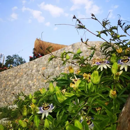 Teos Retreat Houses-passiflora Σπίτι διακοπών Σμύρνη
