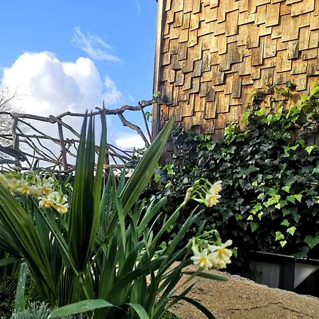 度假居 Teos Retreat Houses-passiflora