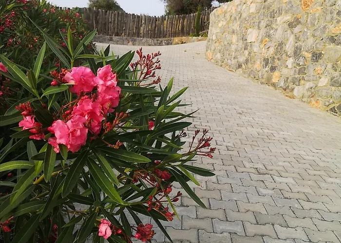 Vakantiehuis Teos Retreat Houses-passiflora