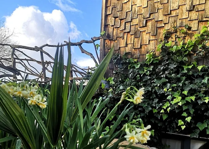 Vakantiehuis Teos Retreat Houses-passiflora