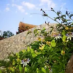 Teos Retreat Houses-passiflora 度假居 伊兹密尔
