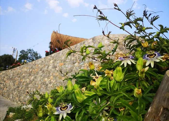 Teos Retreat Houses-passiflora 펜션 이즈미르